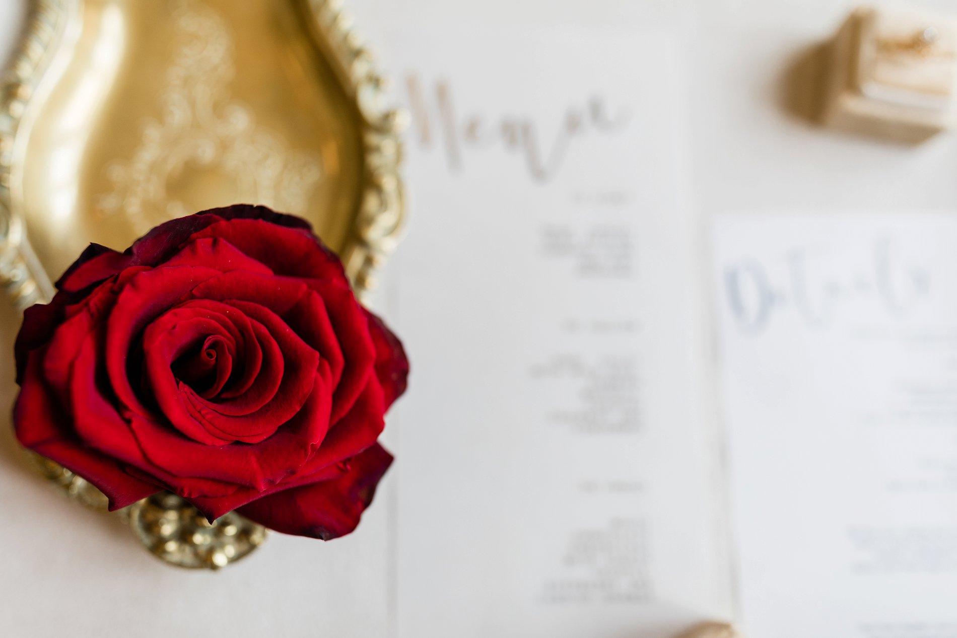 Forever Yours Styled Shoot (c) Camilla J. Hards and Courtney Dee Photography (4)